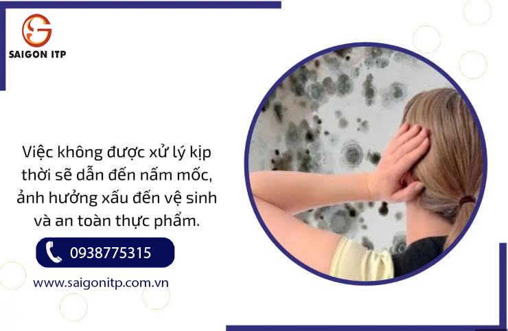 Chống thấm – câu chuyện đau đầu của nhiều thế hệ