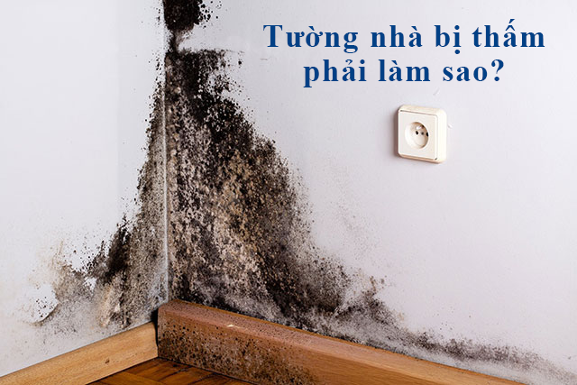 Chống thấm ngược và những điều cần biết